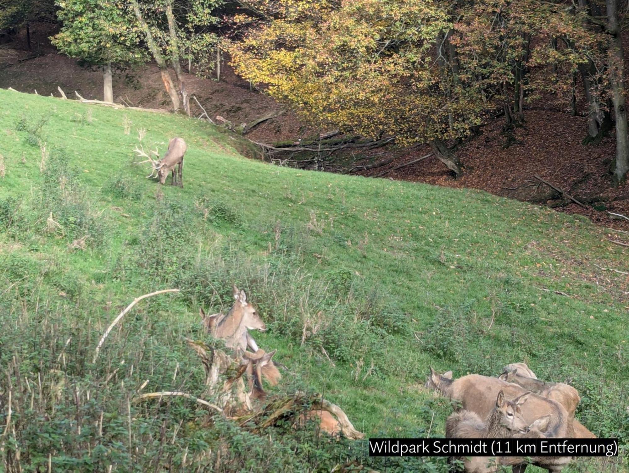 Eifel-ferienhaus Landblick * Hürtgenwald